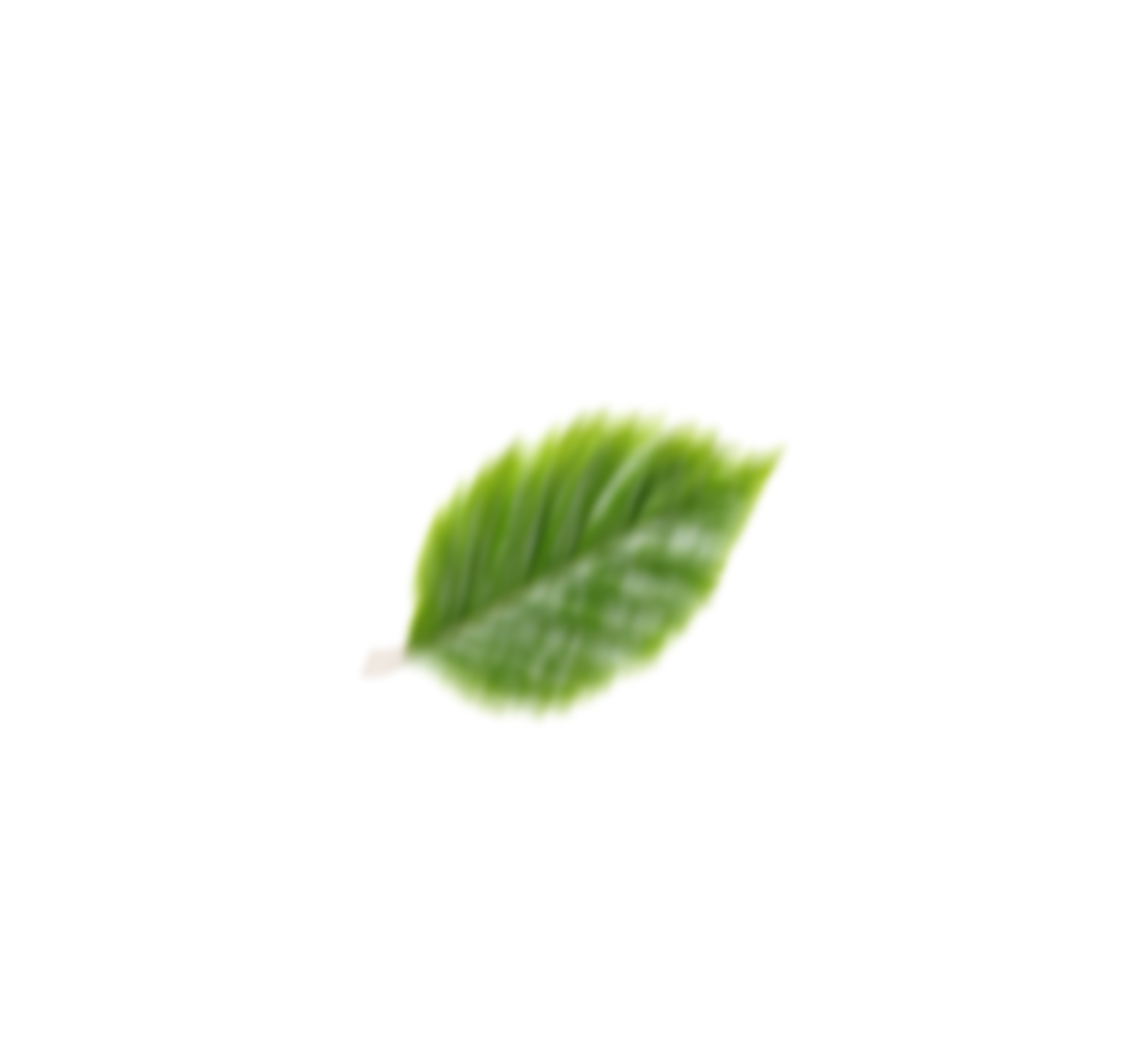 Leaf 2