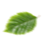 Leaf 34